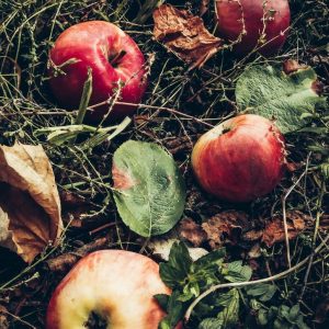 Acetate C-8 (Octyl Acetate) NATURAL / Ацетат С-8