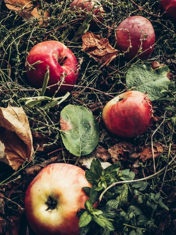 Acetate C-8 (Octyl Acetate) NATURAL / Ацетат С-8