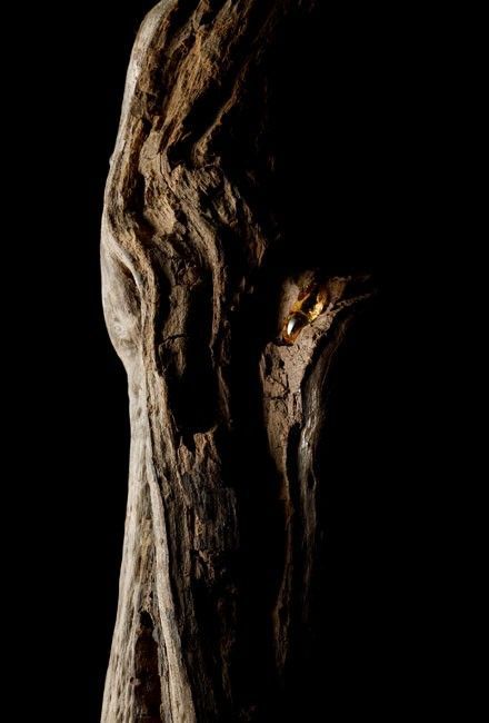 Agarwood CO2 (India) Oud 50% DPG / Уд сверхкритический экстракт