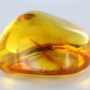 Ambrinol 95 (IFF) 10% / Амбринол 10% в ДПГ