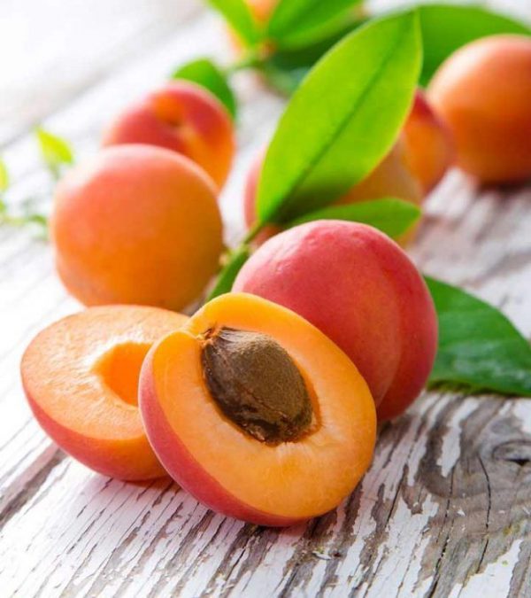 APRICOT OIL (CND) / АБРИКОС ПАРФЮМЕРНЫЙ КОНЦЕНТРАТ