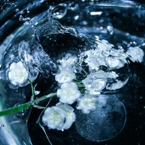 Aquaflora ™ (IFF) / Аквафлора