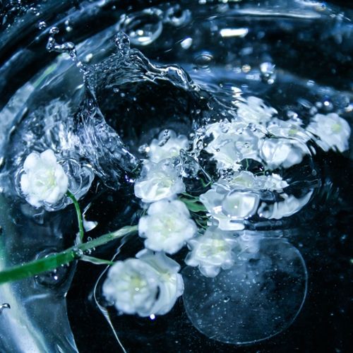 Aquaflora ™ (IFF) / Аквафлора
