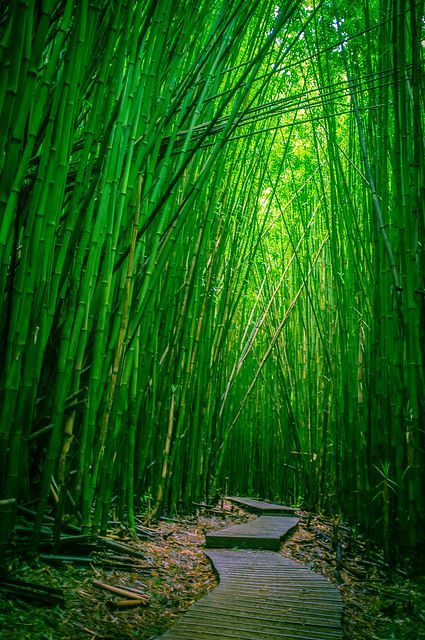 BAMBOO PERFUME OIL (CND) / БАМБУК ПАРФЮМЕРНЫЙ КОНЦЕНТРАТ