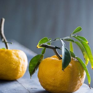 Bitter Yuzu abs. 20% (Japan) / Юзу горький абсолют (Япония)