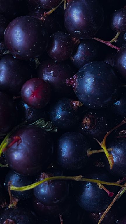 Blackcurrant flower base PCW / Черная смородина цветы база