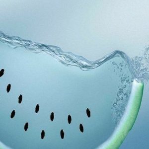 Calone® 918970 aka Watermelon Ketone (Firmenich) / Калон