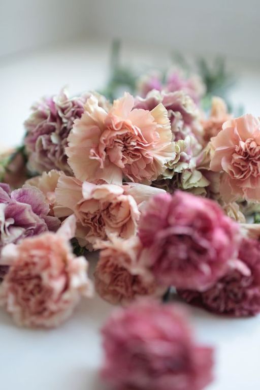 Carnation base KAE / Гвоздика база, 2.5 мл