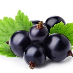Cassis Givco 149 (Givaudan)/ Черная смородина реконструкция