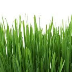 Cis-3-Hexenol aka Leaf Alcohol (Natural) Firmenich / Спирт листьев