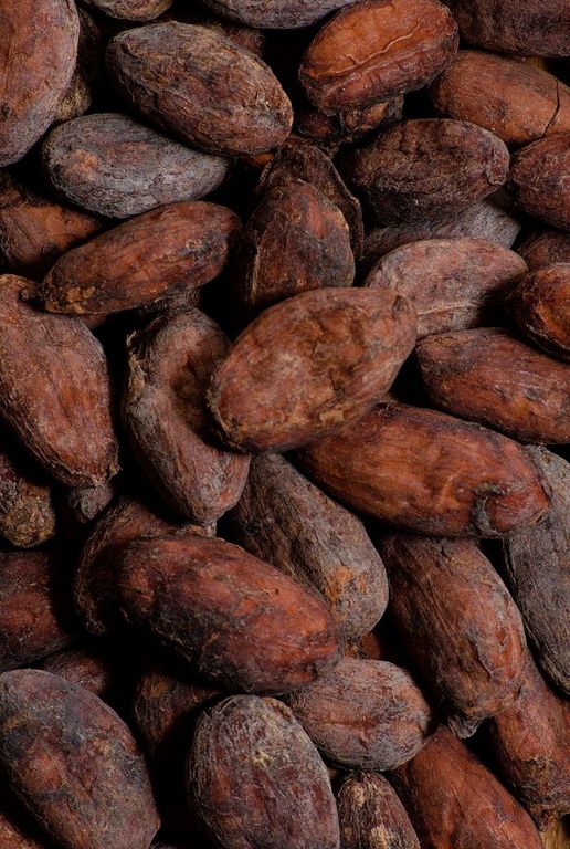 COCOA PURE EXTRACT 50% PG 927119 (FIRMENICH) / КАКАО ЭКСТРАКТ