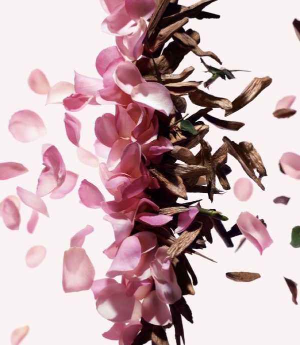 Dimethyl benzyl carbinol (DMBC) / Диметил бензил карбинол