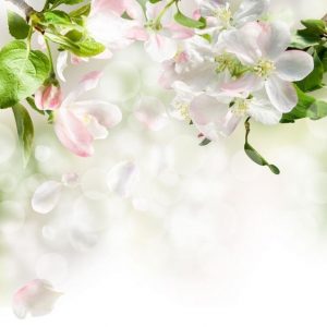 FLORALOL (IFF) / Флоралол
