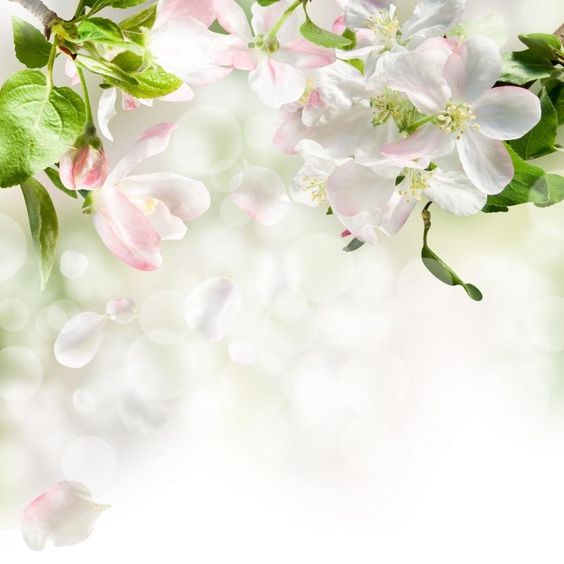 FLORALOL (IFF) / Флоралол