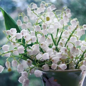 Florhydral (Givaudan) 50% DPG / Флоргидрал
