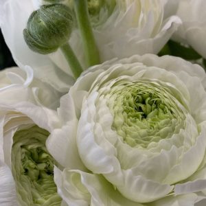 Florol 966458 (Firmenich) / Флорол