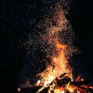 Frankincense Black EO (Ethiopia) / Ладан черный 100% эфирное масло
