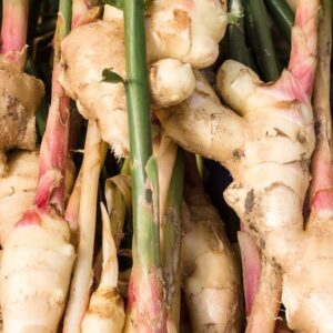 Ginger fresh EO (Madagascar) / Имбирь свежий (100% эфирное масло)