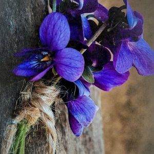 KOAVONE® (IFF) / Коавон