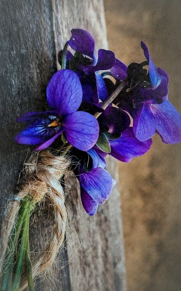 KOAVONE® (IFF) / Коавон