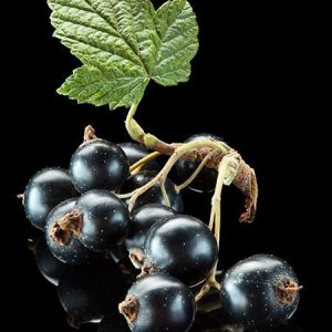 Labienoxime 1% IPM/TEC/DPG (Givaudan) / Лабиеноксим