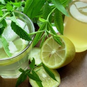 LEMONILE ® (GIVAUDAN) / Лемонил