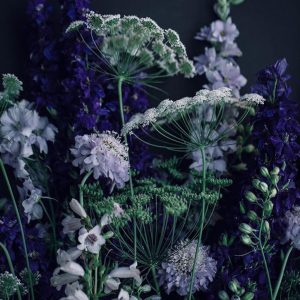 Levistamel 25% in TEC (Givaudan) / Левистамель