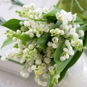 LILYFLORE® 955210 (Firmenich) 50% / Лилифлор