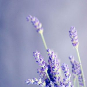 Linalool Coeur (Symrise) / Линалоол нота сердца