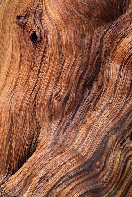 MAHOGANY PERFUME OIL (S.O.S.) / КРАСНОЕ ДЕРЕВО ПАРФЮМЕРНЫЙ КОНЦЕНТРАТ