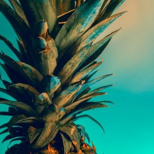 Manzanate (Givaudan) / Манзанат
