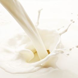 Milk lactone (Ventos) / Молочный лактон