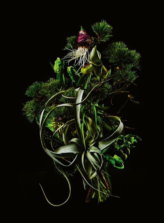 MYRCENE / Мирцен