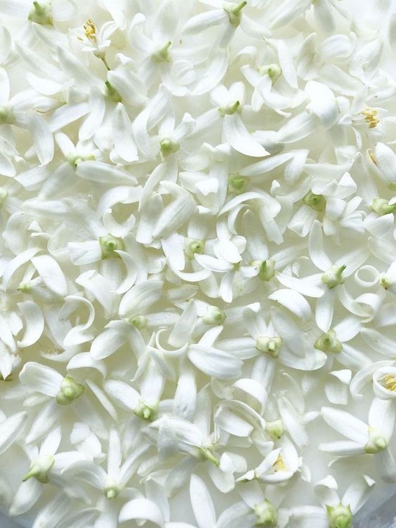 Neroli base PCW / Нероли база