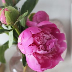 PEONY OIL (CND) / ПИОН ПАРФЮМЕРНЫЙ КОНЦЕНТРАТ