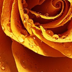 PHENYLETHYL ACETATE / Фенилэтил ацетат