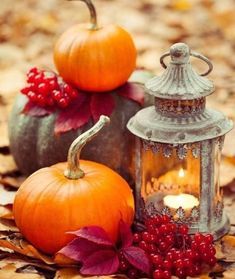 PUMPKIN PERFUME OIL (S.O.S.) / ТЫКВА ПАРФЮМЕРНЫЙ КОНЦЕНТРАТ