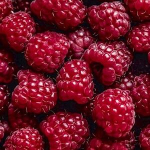 Raspberry Melange (Natural) Robertet / Малина меланж