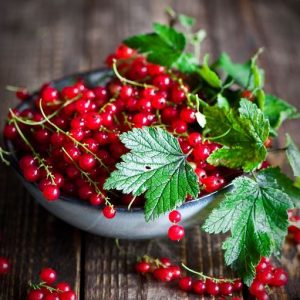 RED CURRANT PERFUME OIL (CND) / КРАСНАЯ СМОРОДИНА ПАРФЮМЕРНЫЙ КОНЦЕНТРАТ