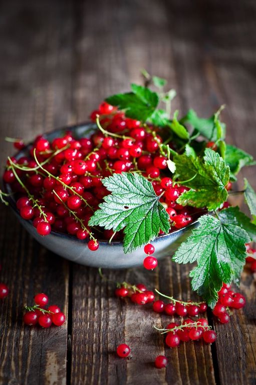 RED CURRANT PERFUME OIL (CND) / КРАСНАЯ СМОРОДИНА ПАРФЮМЕРНЫЙ КОНЦЕНТРАТ