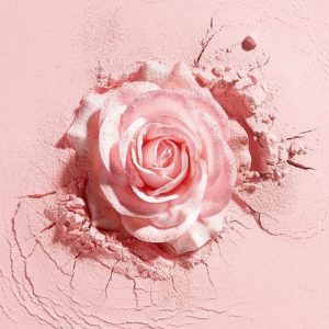 Rose Crystals / Розы кристаллы
