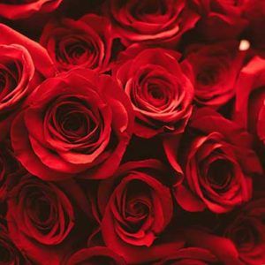 ROSE OXYDE Laevo Bédoukian / Роза оксид
