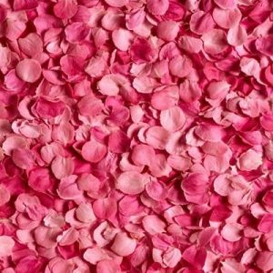 ROSE PETAL 7757 base PFW / Роза лепестки база