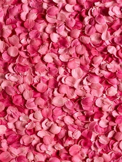 ROSE PETAL 7757 base PFW / Роза лепестки база