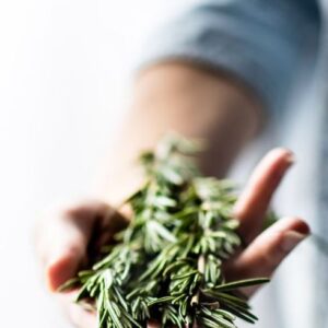 ROSEMARY EO ORGANIC (100% ЭФИРНОЕ МАСЛО РОЗМАРИН) ТУНИС
