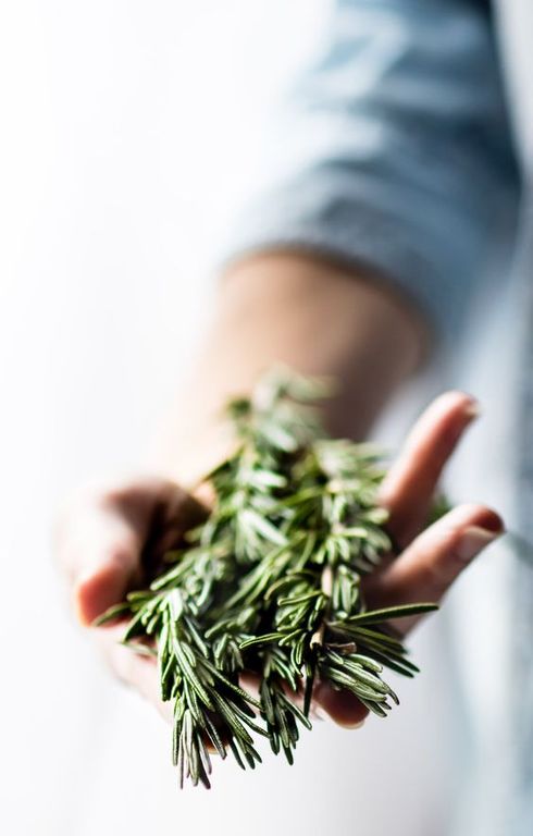 ROSEMARY EO ORGANIC (100% ЭФИРНОЕ МАСЛО РОЗМАРИН) ТУНИС