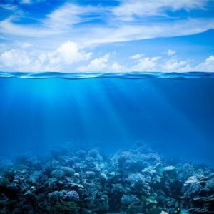 SEAWEED ABSOLUTE 10% IN DPG / Водоросли (ламинария) абсолют