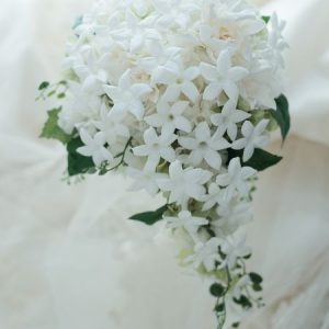 Splendione ® (Firmenich) / Сплендион
