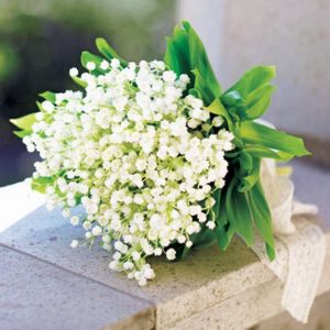 Starfleur 40 (IFF) / Старфлер