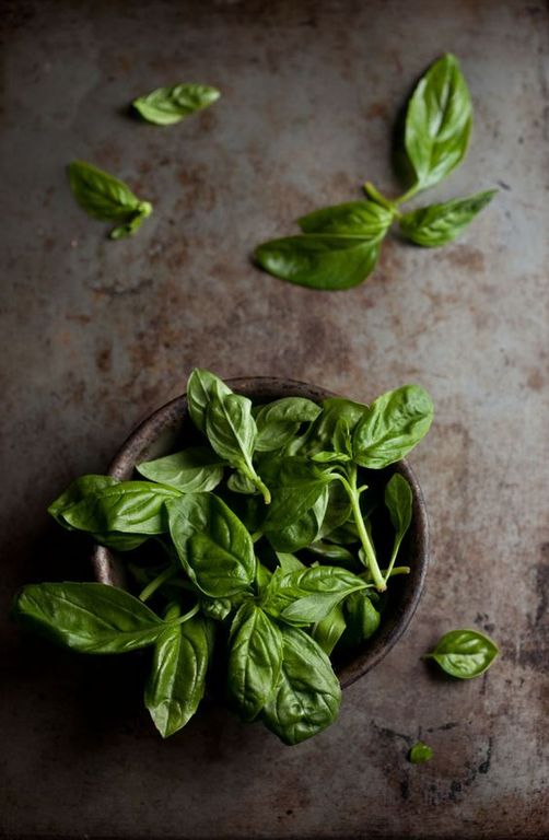 Sweet Basil EO (Robertet) / Сладкий базилик 100% эфирное масло